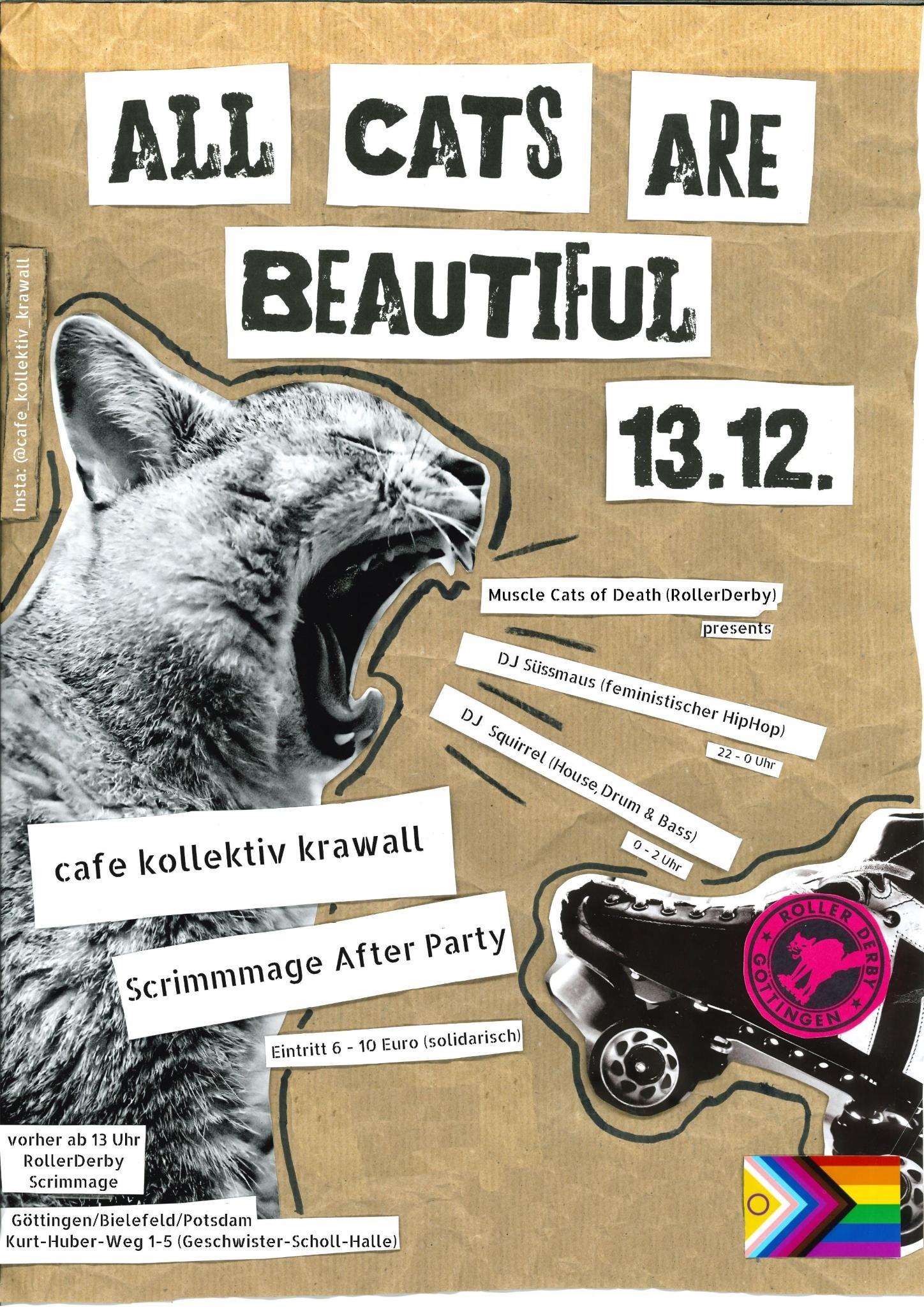 13.12. All Cats Are Beautiful